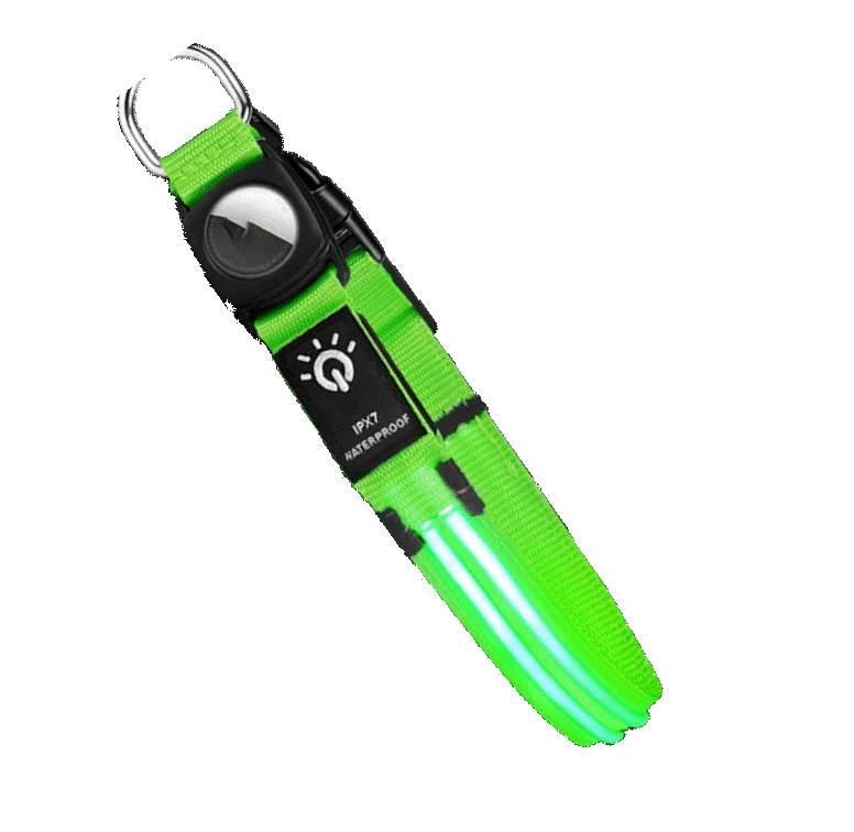 Pawfect find Waterproof LED Dog Collar - Green