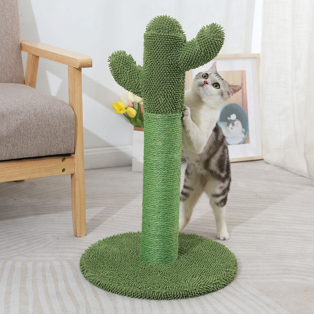 Kitten Climbing Scratcher Cactus Cat Scratching Posts Pole Tree Furniture Toys