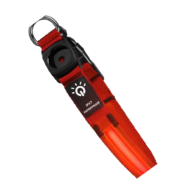 Pawfect find Waterproof LED Dog Collar - Red