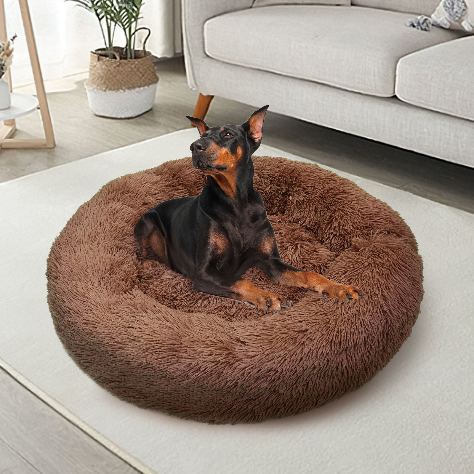 Pawfect find XXL Plush Round Dog Bed - Premium Comfort in Light Coffee
