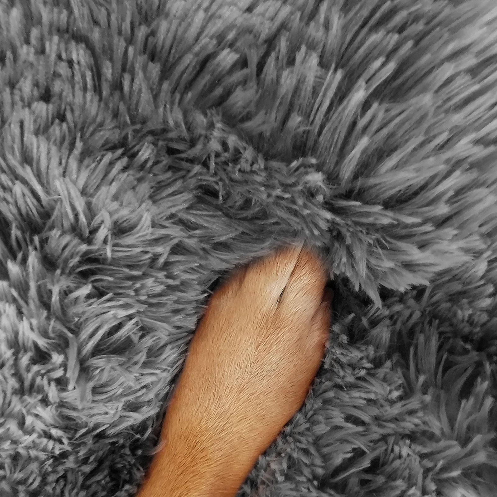 Pawfect find Extra Large Calming Pet Bed - Luxurious Round Sleep Sanctuary