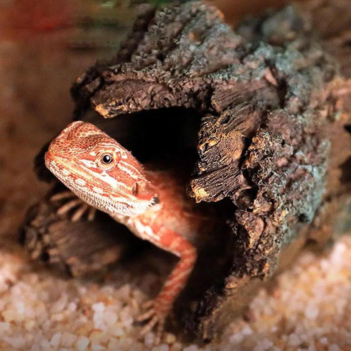 Tree Log Hide Ornament Trunk Tunnel Fish Reptile Tank Resin Aquarium Decoration - Small