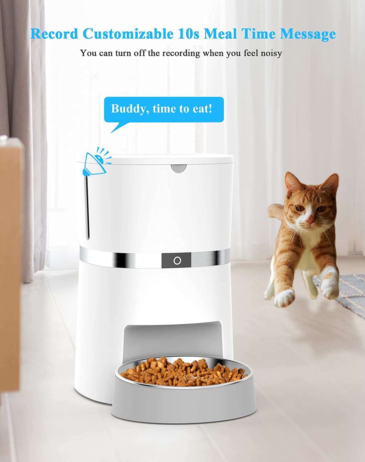 Automatic Cat Feeder 2.0